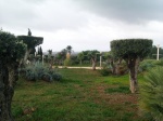 800-4.jpg